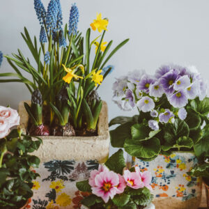 Craft Club - Decoupage Flower Pots