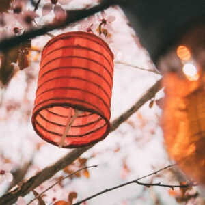 Craft Club - Paper Leaf Lanterns