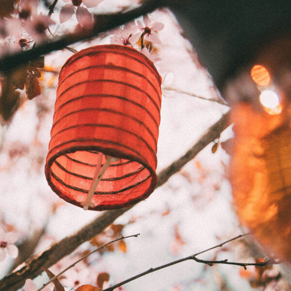Craft Club - Paper Leaf Lanterns
